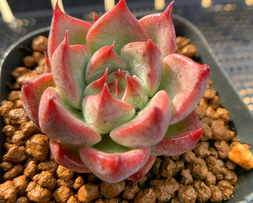 5f465e244b3de30b5da94685031a1e