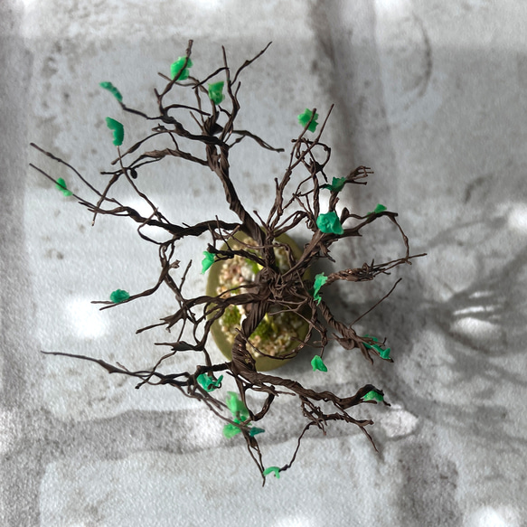 芽吹く緑とお地蔵様のミニチュア盆栽 2枚目の画像