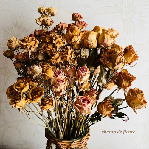 薔薇ドライフラワー antique ドライフラワー 花工房 champ de