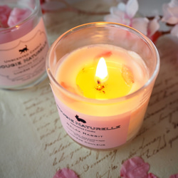 桜とねこのソイキャンドル - Sakura Cat - GLASS JAR CANDLE S 4枚目の画像