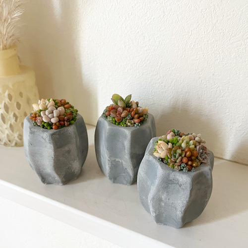 各1点限定販売☆ インテリア 多肉植物 ミニ寄せ植え ちまちま
