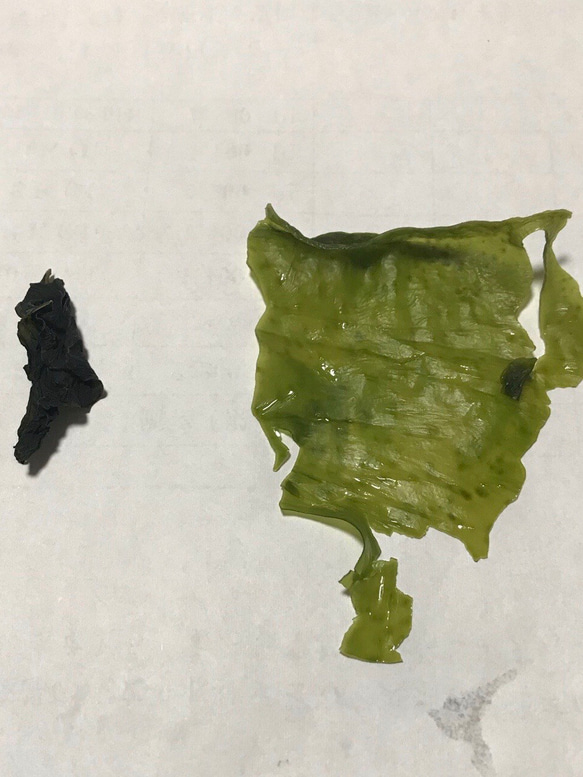 福袋【送料無料】北海道名産 海藻類 ８点セット 13枚目の画像