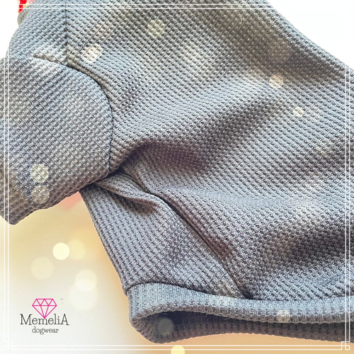 イタグレ用犬服】インド刺繍がおしゃれすぎ♡インド刺繍のターバン風