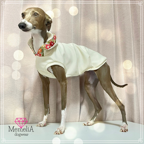 イタグレ用犬服】インド刺繍がおしゃれすぎ♡インド刺繍のターバン風