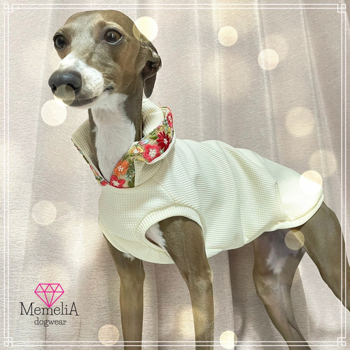 フレブル用犬服】インド刺繍がおしゃれすぎ♡インド刺繍のターバン風