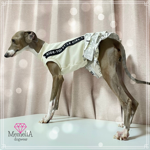 イタグレ用犬服】気分はまるでパリジェンヌ♡英字新聞が可愛い