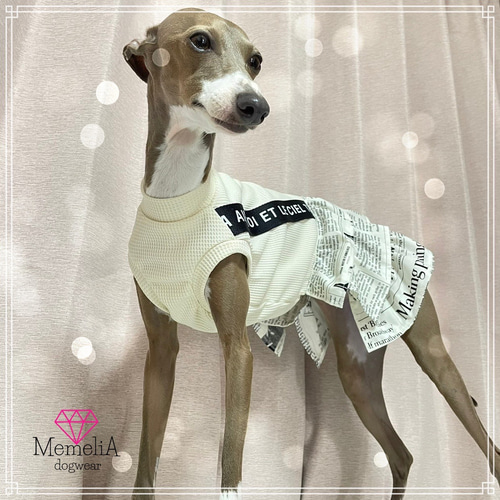 コトリページ　イタグレ服　ハンドメイド イタグレ用犬服】気分はまるでパリジェンヌ♡英字新聞が可愛い