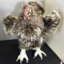 ブラマのギャラリー｜ハンドメイド・手仕事品の販売・購入 Creema