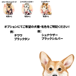 【 ”晴れ着姿”シリーズ　犬種選べる キャニスター 】保存容器　プレゼント　ギフト　犬　ペット　うちの子　犬グッズ 8枚目の画像