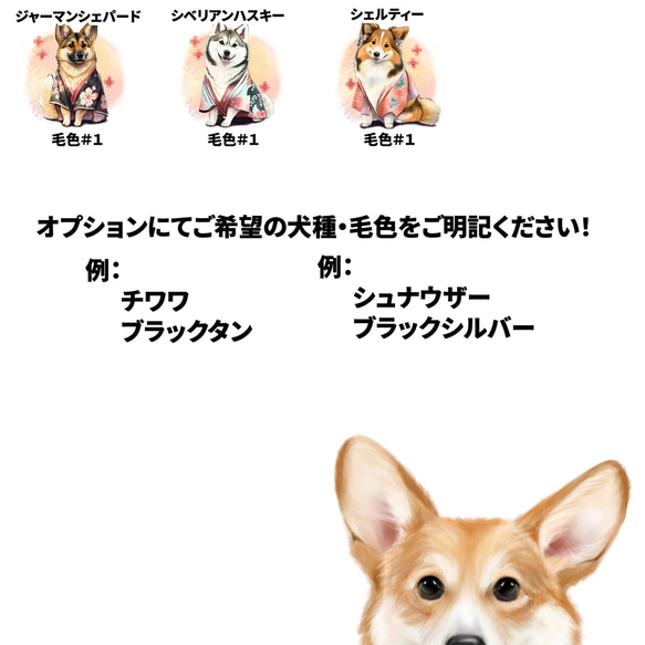 【 ”晴れ着姿”シリーズ　犬種選べる キャニスター 】保存容器　プレゼント　ギフト　犬　ペット　うちの子　犬グッズ 8枚目の画像