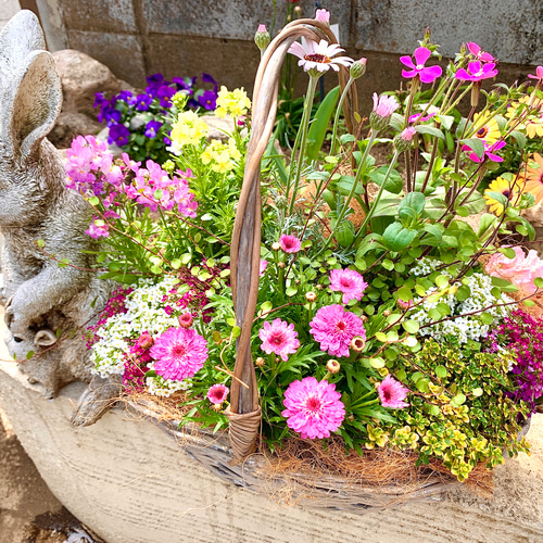 おすすめネット 春のバスケット寄せ植え♪ 通販 まめこのいえ アートフラワー 鉢花