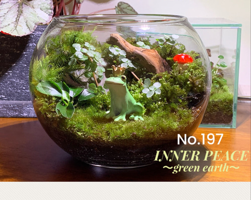 d9f8ca0cedfb39e03c982b1771cad1