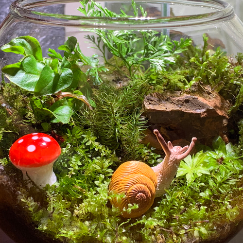 196 苔アート 苔テラリウム カタツムリ フィギュア テラリウム