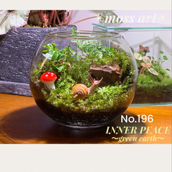 No.90 カエルリウム　イモリウム　テラリウム　苔テラリウム　苔アート 57 イモリウム カエルリウム 苔アート 苔テラリウム テラリウム