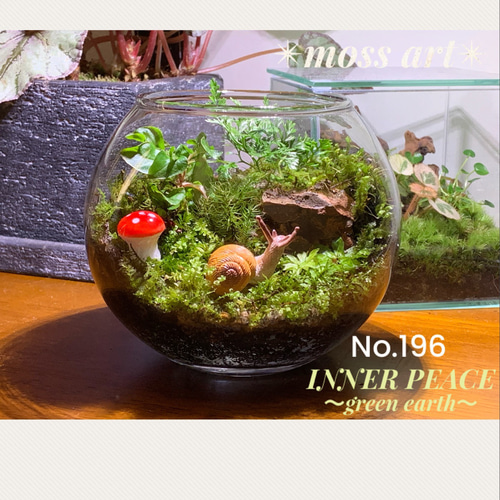 196 苔アート 苔テラリウム カタツムリ フィギュア テラリウム