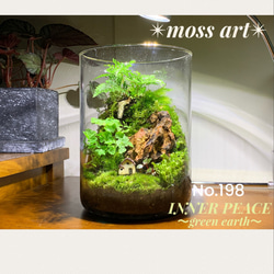 No.90 カエルリウム　イモリウム　テラリウム　苔テラリウム　苔アート 78 苔アート テラリウム イモリウム カエルリウム 完成品