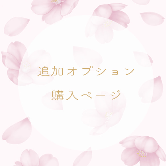 【オプションをつけ忘れたお客様へ】追加オプション¥500 1枚目の画像