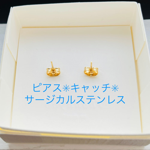 てんとう虫［アイヌテントウ］テントウムシ ピアス イヤリング