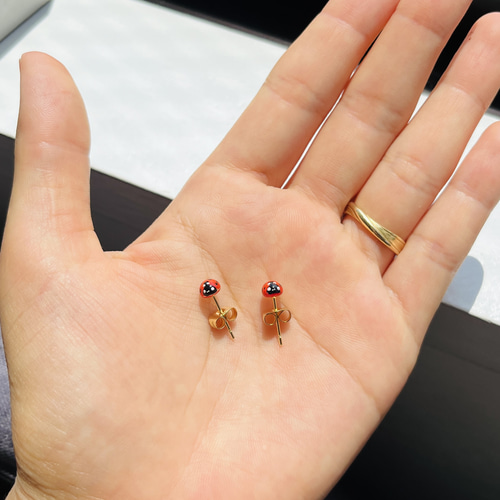 てんとう虫［アイヌテントウ］ ピアス（スタッド・一粒） ぼーる