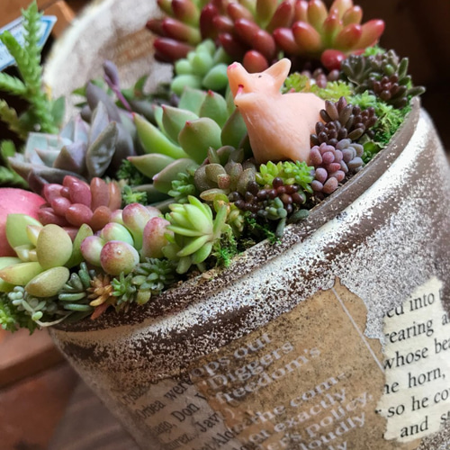 再々…販【春が来た＊】多肉植物の寄せ植え リメ缶＊錆び風