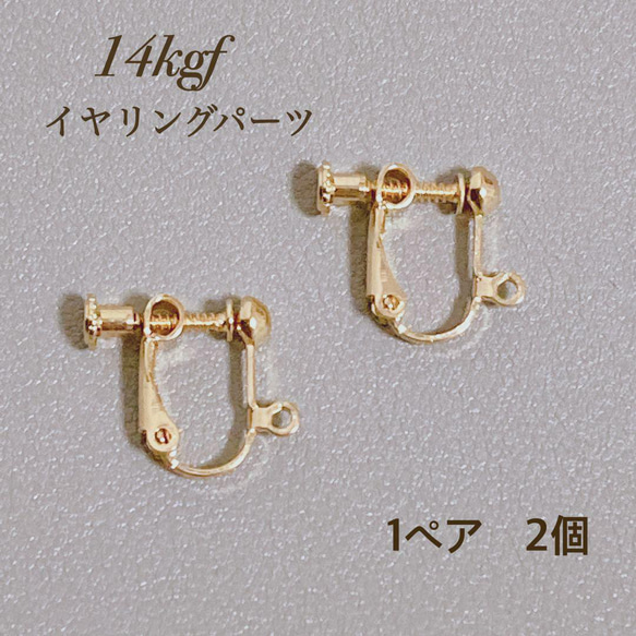 Aya様♡専用ページ〔ネジバネイヤリング〕 【公式通販】