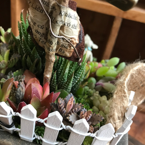 什器　多肉植物棚　ガーデン雑貨　インテリア雑貨 04ba92e5832d85a474d9afa9495497
