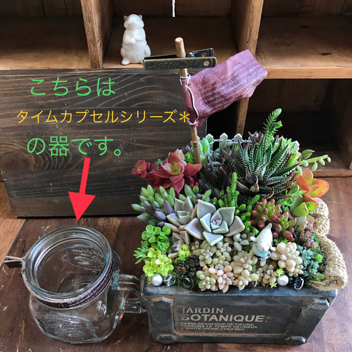 什器　多肉植物棚　ガーデン雑貨　インテリア雑貨 ガーデンピック 10本セット 多肉寄せ植え ガーデン雑貨 多肉植物