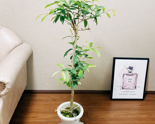 6d112cd7044d768bb5fb5b68930ac1