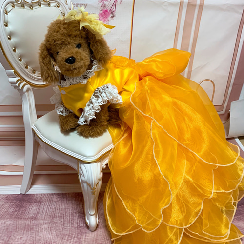 ヴィンテージドレス、ネコちゃんベスト２点おまとめです 犬猫うさちゃん 大切な日にはスペシャルなドレスを♡ ペット服