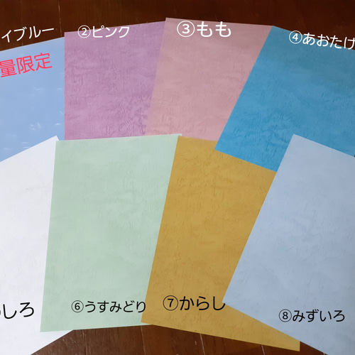 sea様•*¨*•.¸♬︎命名書 命名紙手書き♪（カラー和紙） 雑貨・その他 