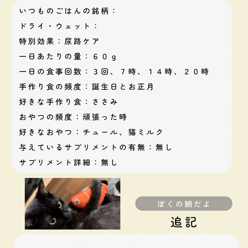 ペットの身分証明書【情報をデジタル保管できるレスキューカード
