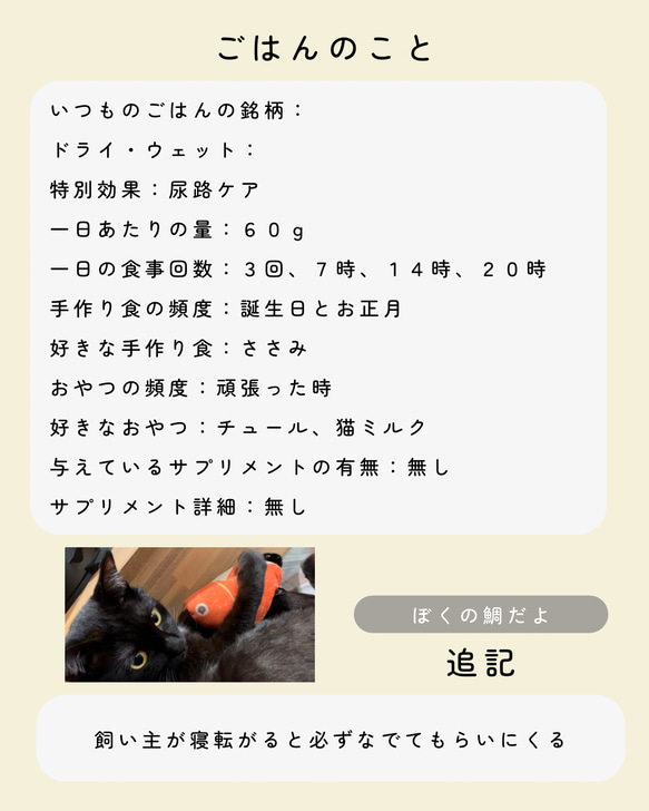 ペットの身分証明書【情報をデジタル保管できるレスキューカード】愛猫愛犬の写真でオリジナルデザインも限定販売中✨ 13枚目の画像