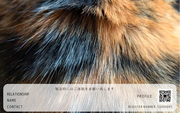 ペットの身分証明書【情報をデジタル保管できるレスキューカード】愛猫愛犬の写真でオリジナルデザインも限定販売中✨ 2枚目の画像