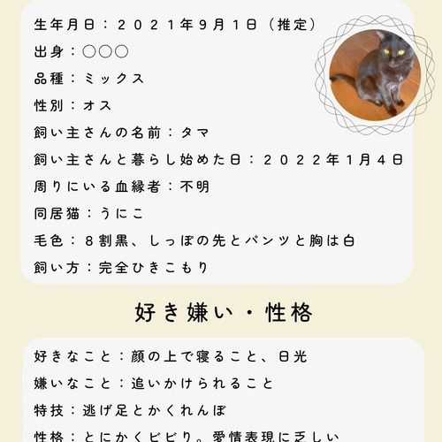 ペットの身分証明書【情報をデジタル保管できるレスキューカード