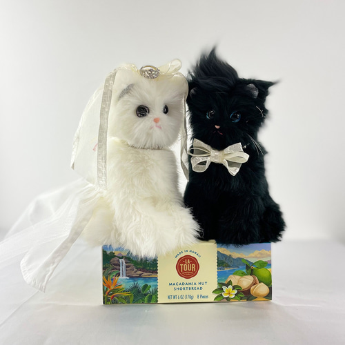 猫ぬいぐるみ）wedding cats mix ウエディングキャット ぬいぐるみ 