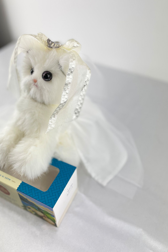 (猫ぬいぐるみ）wedding cats mix　ウエディングキャット 5枚目の画像