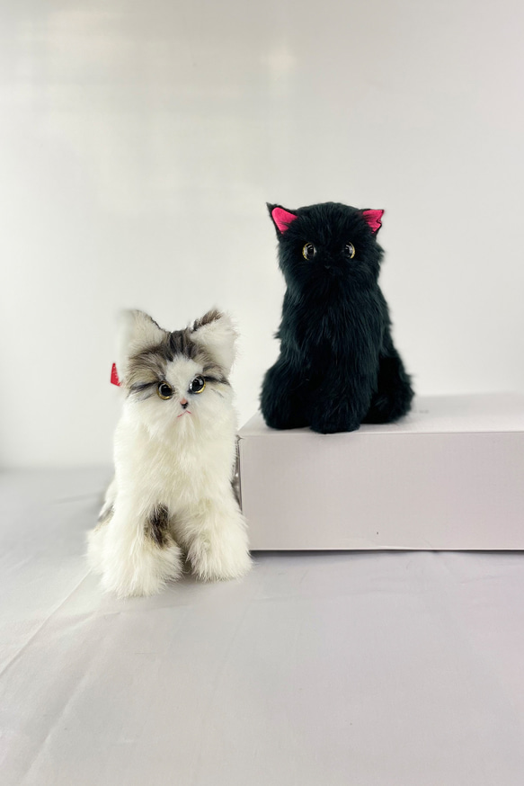 猫ぬいぐるみ)order made mix オーダーメイド猫ぬいぐるみ 猫ぬいぐるみ)order made mix オーダーメイド猫ぬいぐるみ