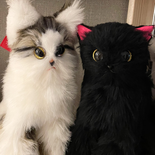 猫ぬいぐるみ)order made mix オーダーメイド猫ぬいぐるみ 猫ぬいぐるみ)order made mix オーダーメイド猫ぬいぐるみ