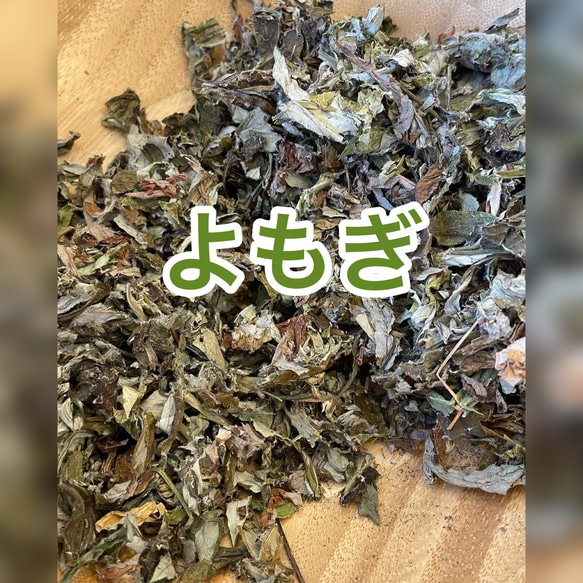  第2張的照片