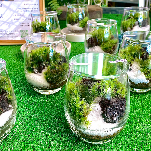 人気作品】輝く天然石の苔テラリウム(クリスタル鉱山)エッグ型 