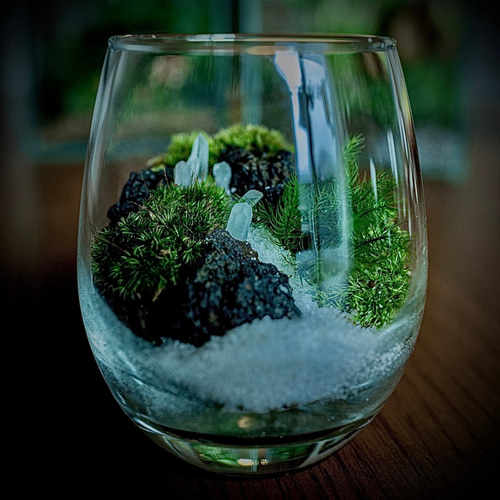 お気に入り190越え】輝く天然石の苔テラリウム(クリスタル鉱山)手乗り