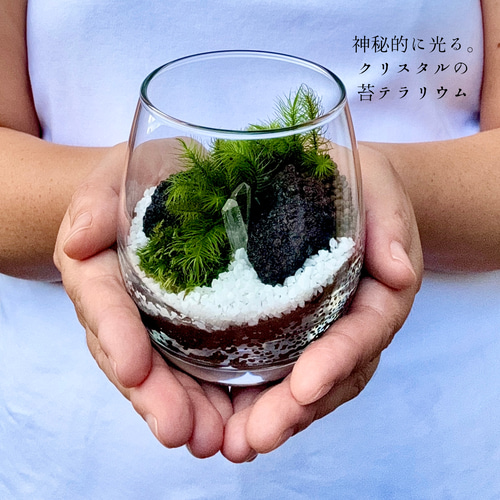 お気に入り200越え］輝く天然石の苔テラリウム(クリスタル鉱山)手乗り