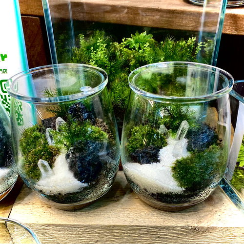 人気作品】輝く天然石の苔テラリウム(クリスタル鉱山)エッグ型 