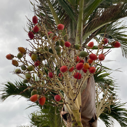 bf45379fcf576249ace1c1cff8216d