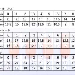 桜ネイル / ネイルチップ / 春ネイル 6枚目の画像