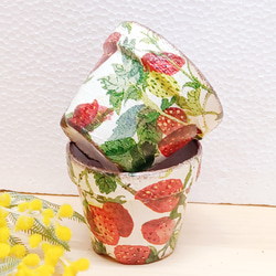 イチゴ リメイク鉢2,5号 3個セット 多肉植物 taniku－maruko