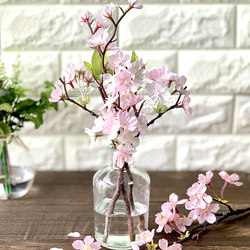 【香りを贈る】お手入れいらずで枯れない桜のマジカルウォーターアレンジ 2枚目の画像