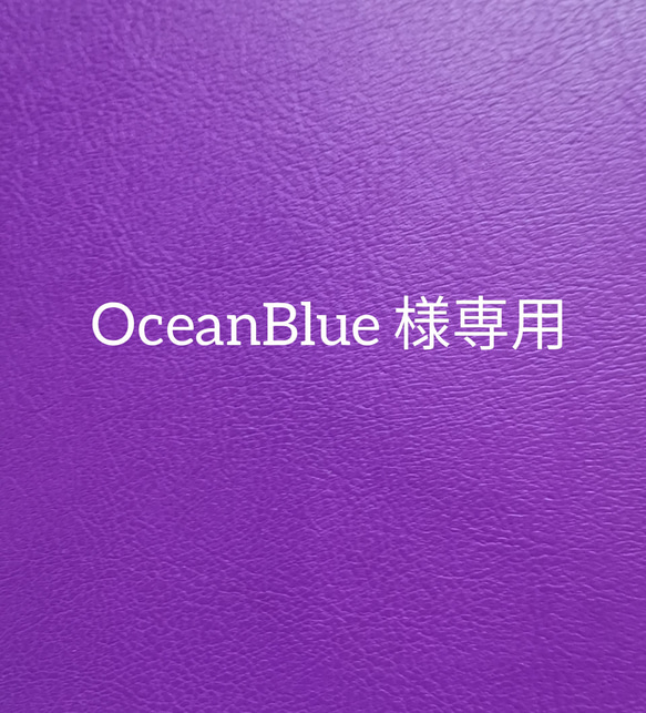 OceanBlue 様専用 1枚目の画像