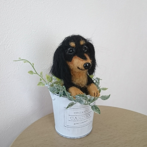 羊毛フェルト 犬 ミニチュアダックスフント〈ブラックタン