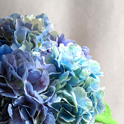 まるで本当の紫陽花みたい!大輪の紫陽花が美しいアーティフィシャル（造花）アレンジ まるで本当の紫陽花みたい!大輪の紫陽花が美しいアーティフィシャル（造花）アレンジ